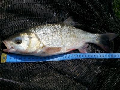 20160413_121603.jpg