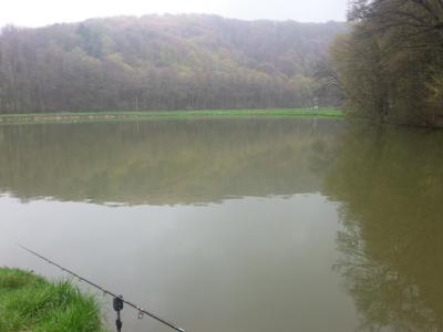 20160415_083150.jpg