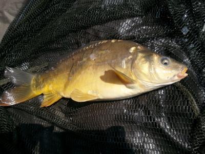 20160415_125943.jpg