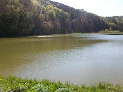 20160422_102114.jpg