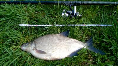 WP_20160413_011.jpg