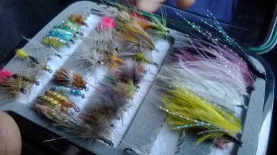 WP_20160416_002.jpg