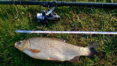 WP_20160419_003.jpg