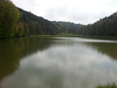 20160501_124839.jpg