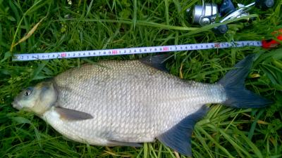 WP_20160501_005.jpg