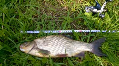 WP_20160503_004.jpg