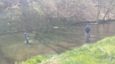 large.20160430_142635.jpg.9d70ba4fcff962107c4fad9fa72552a8.jpg