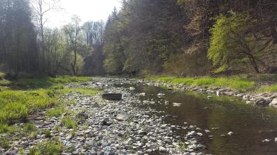 large.20160430_163606.jpg.ba2d03eb58f563f3be81cad364c4e98b.jpg