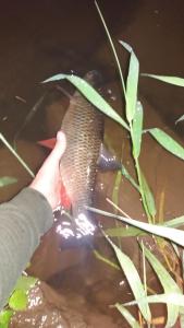 20160603_213636.jpg
