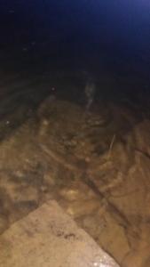 20160614_215734.jpg