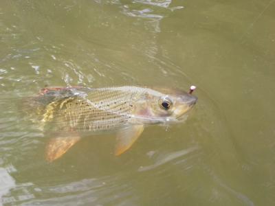 20160616_122413.jpg