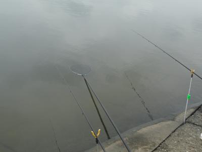 DSC04462.JPG