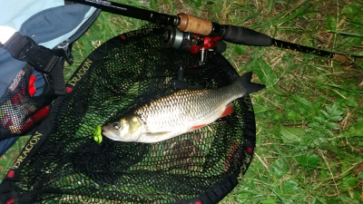 20160709_222704.jpg
