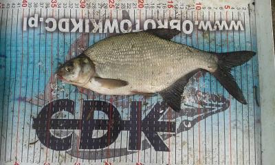 20160710_120454.jpg