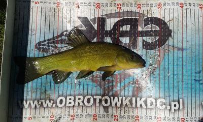 20160710_141909.jpg