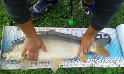 20160715_163822.jpg