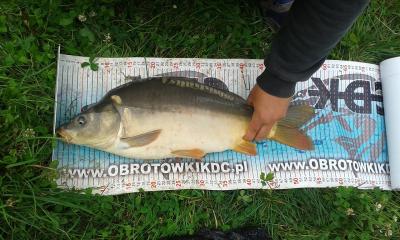 20160715_175031.jpg