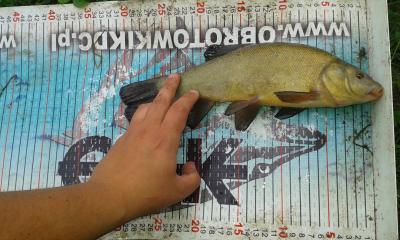 20160719_191652.jpg