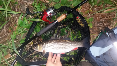 20160722_231028.jpg