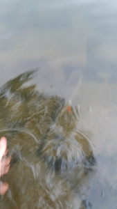 20160724_193517.jpg