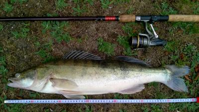 WP_20160717_003.jpg