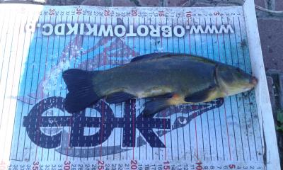 20160802_083534.jpg