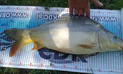 20160804_113659.jpg