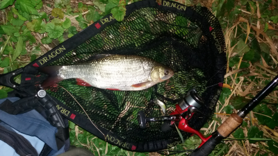 20160813_215513.jpg