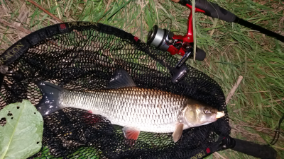 20160814_215114.jpg