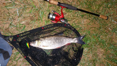 20160825_223611.jpg