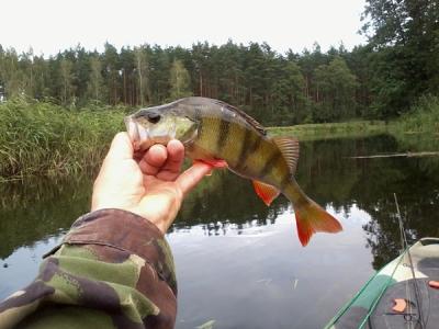 Zdjęcie0852.jpg