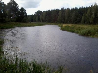 Zdjęcie0859.jpg