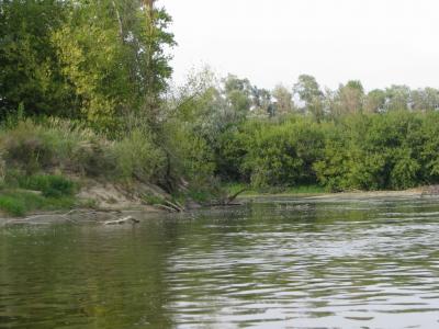 IMG_2870.jpg
