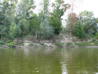 IMG_2871.jpg