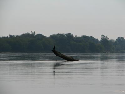 IMG_2888.jpg
