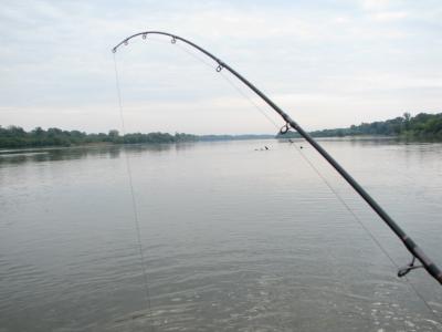 IMG_2896.jpg