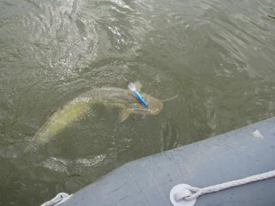 IMG_2897.jpg