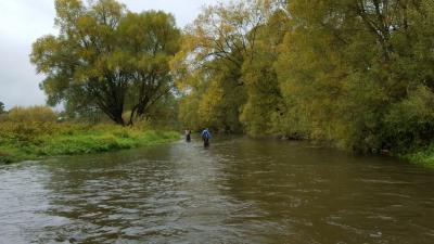 20161008_141932.jpg