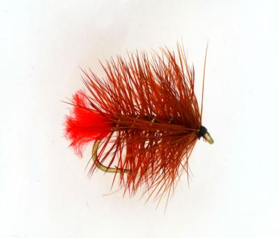 fiery-brown-soldier-palmer-bumble-21318-p.jpg