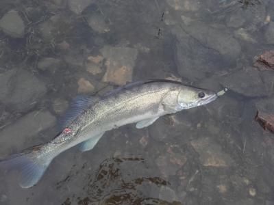 20161112_093346.jpg