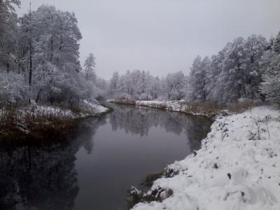 Zdjęcie0978.jpg