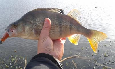 20161211_115733.jpg