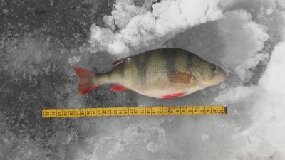 20170121_124206.jpg