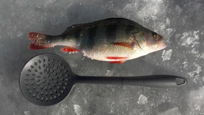 20170128_115903.jpg
