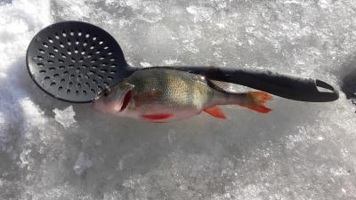 20170129_134907.jpg