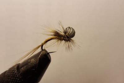 20170305_170507_001.jpg