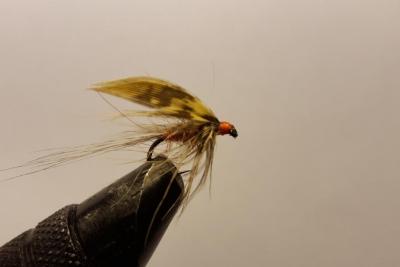 20170305_173416.jpg