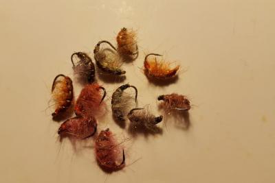 20170305_215811.jpg