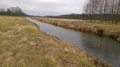 WP_20170325_002[1].jpg