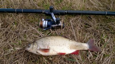 WP_20170325_001[1].jpg